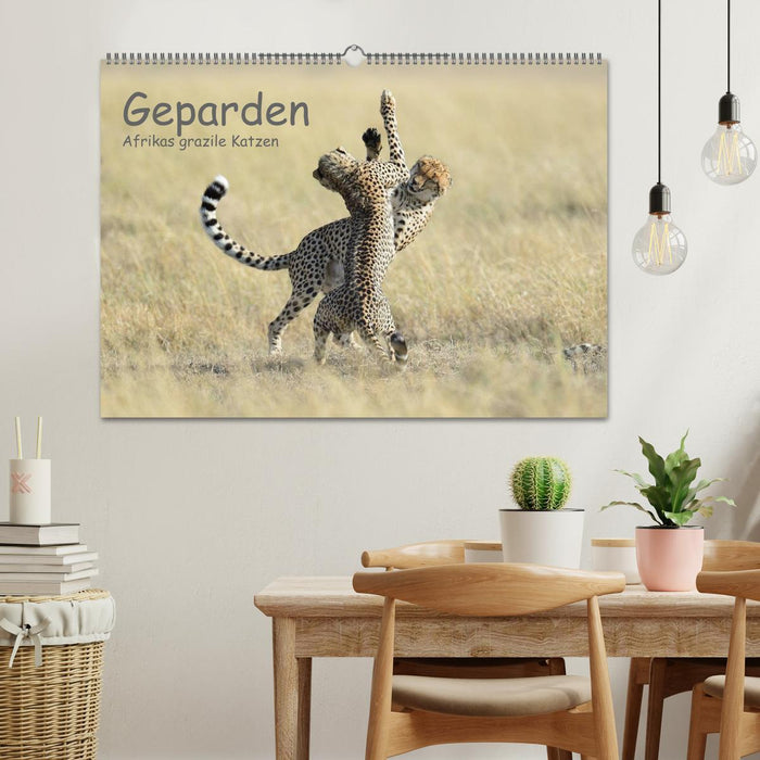 Geparden - Afrikas grazile Katzen (CALVENDO Wandkalender 2025)