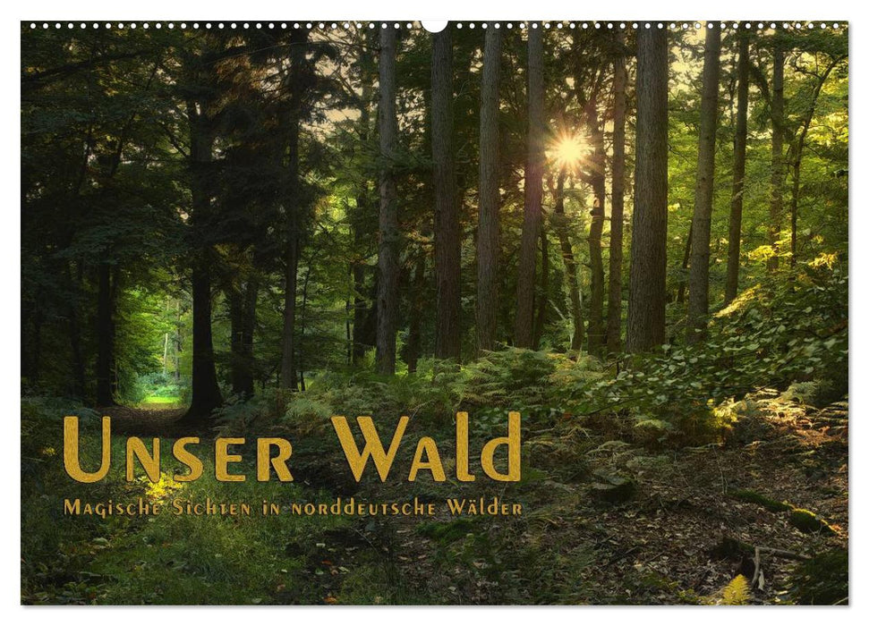 Unser Wald - Magische Sichten in norddeutsche Wälder / Geburtstagskalender (CALVENDO Wandkalender 2025)