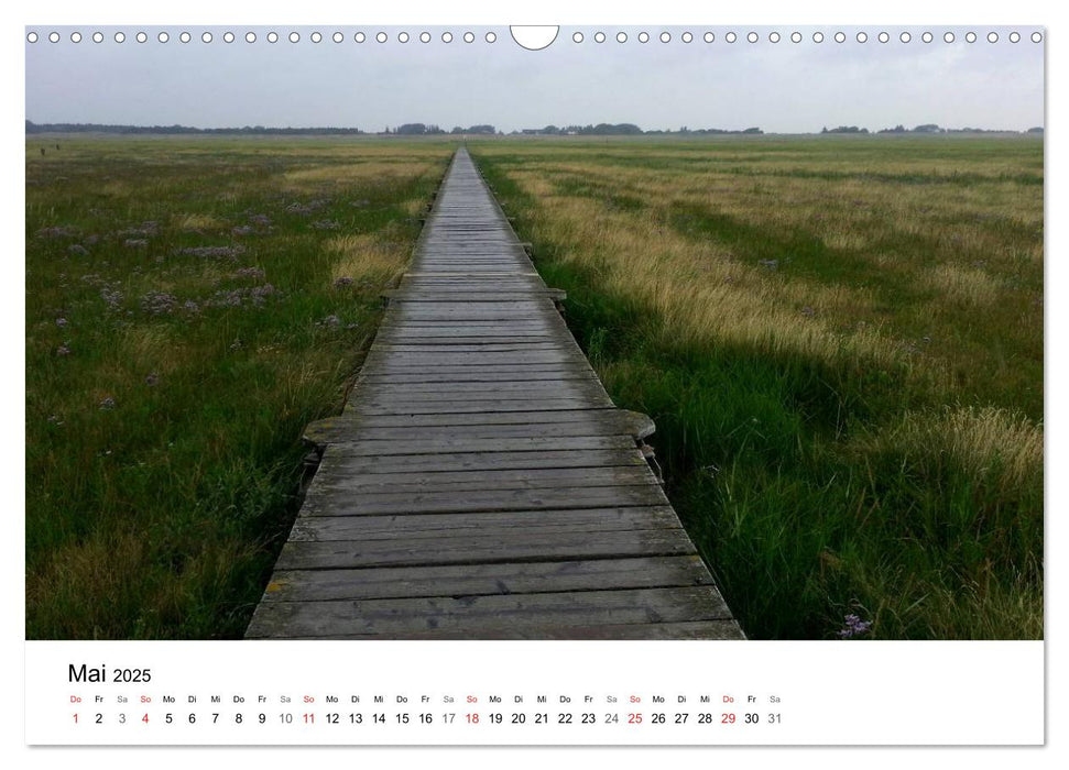 St. Peter Ording 2025 (CALVENDO Wandkalender 2025)