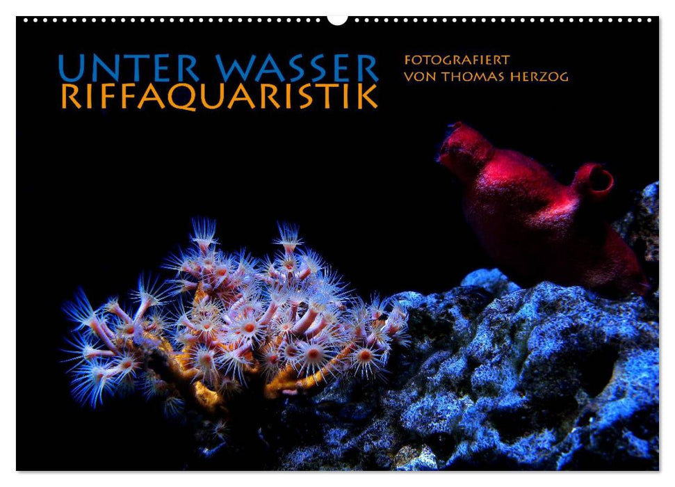 UNTER WASSER Riffaquaristik (CALVENDO Wandkalender 2025)