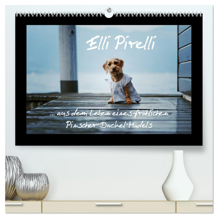 Elli Pirelli... aus dem Leben eines fröhlichen Pinscher-Dackel-Mädels (CALVENDO Premium Wandkalender 2025)