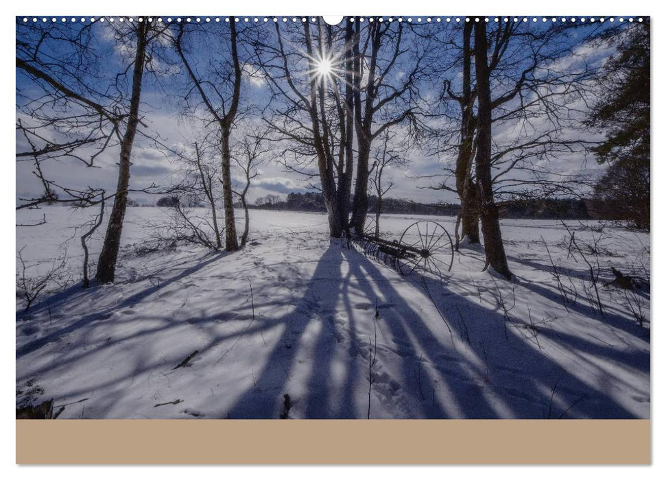 Unser Wald - Magische Sichten in norddeutsche Wälder (CALVENDO Premium Wandkalender 2025)