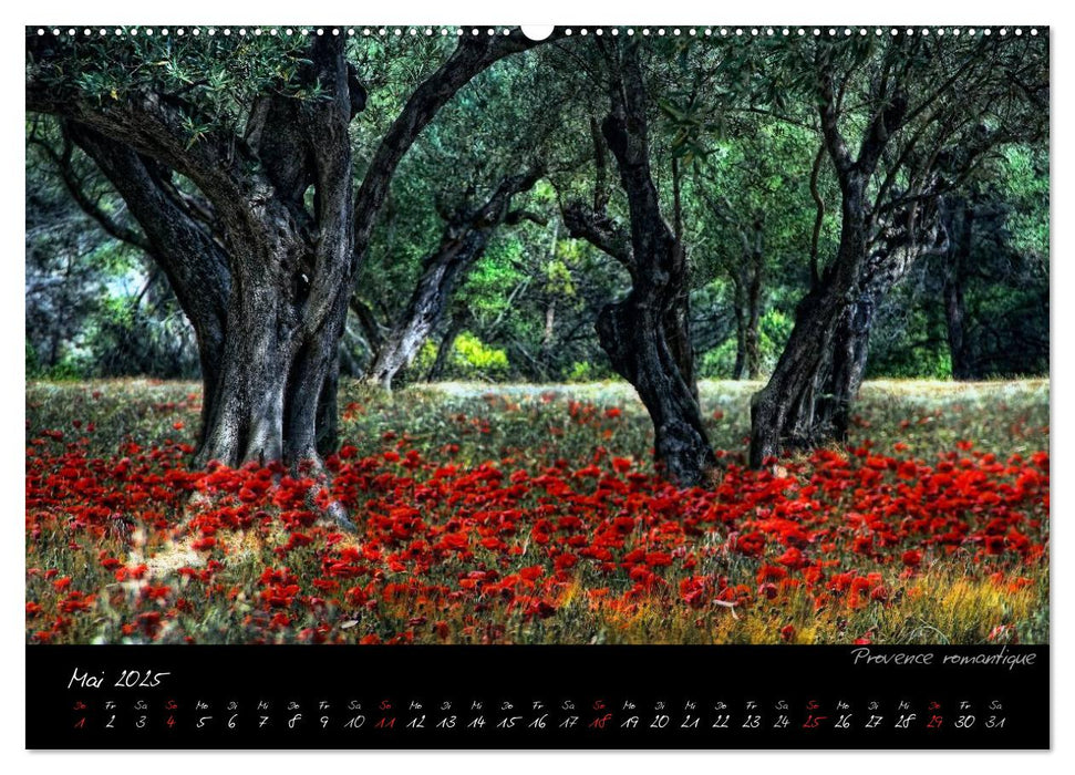 Provence romantique (CALVENDO Premium Wandkalender 2025)