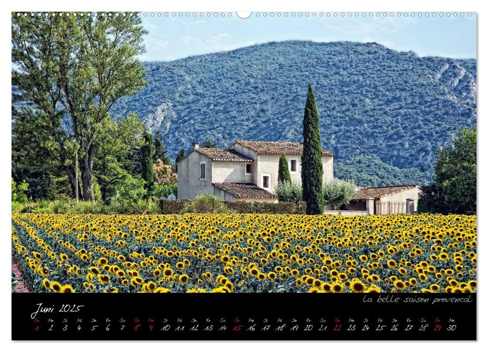 Provence romantique (CALVENDO Premium Wandkalender 2025)