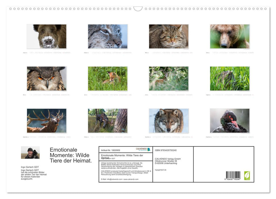 Emotionale Momente: Wilde Tiere der Heimat. (CALVENDO Wandkalender 2025)