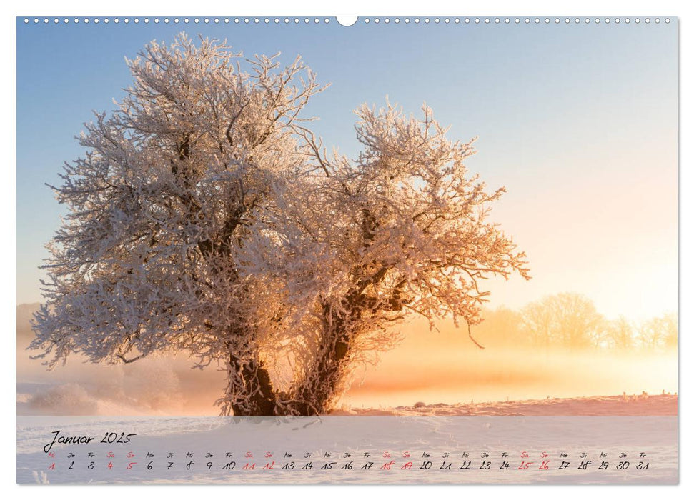 Das Selketal im Harz (CALVENDO Premium Wandkalender 2025)