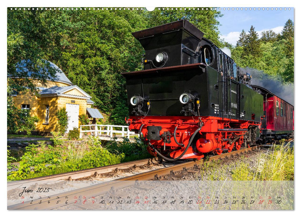 Das Selketal im Harz (CALVENDO Premium Wandkalender 2025)