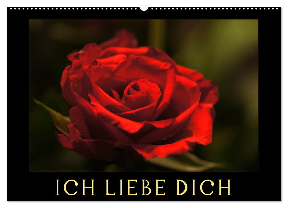 Ich liebe Dich (CALVENDO Wandkalender 2025)