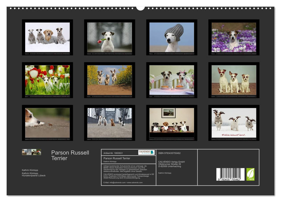 Parson Russell Terrier (CALVENDO Premium Wandkalender 2025)