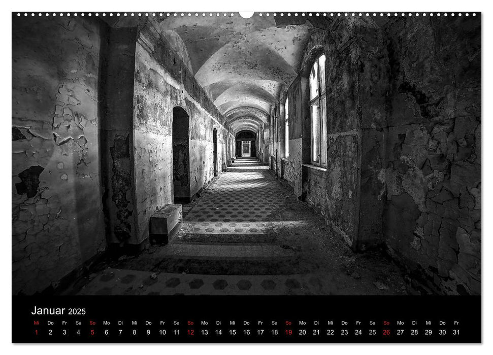 lost beauty (CALVENDO Wandkalender 2025)