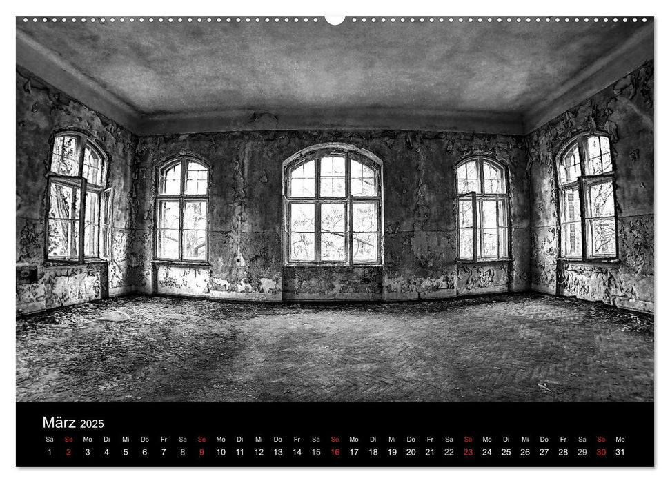 lost beauty (CALVENDO Wandkalender 2025)