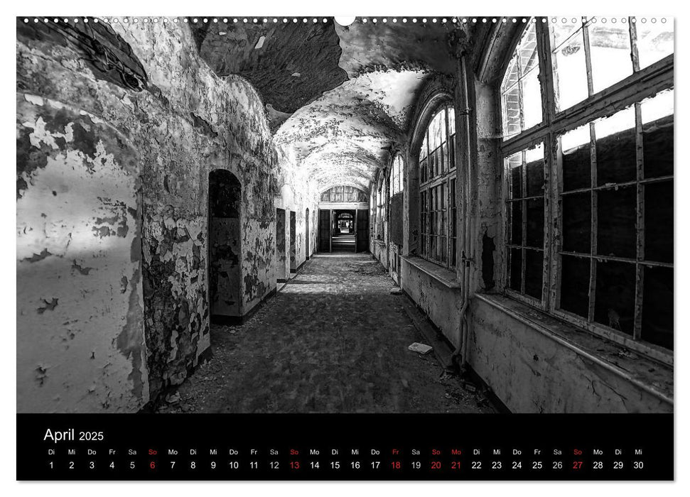 lost beauty (CALVENDO Wandkalender 2025)