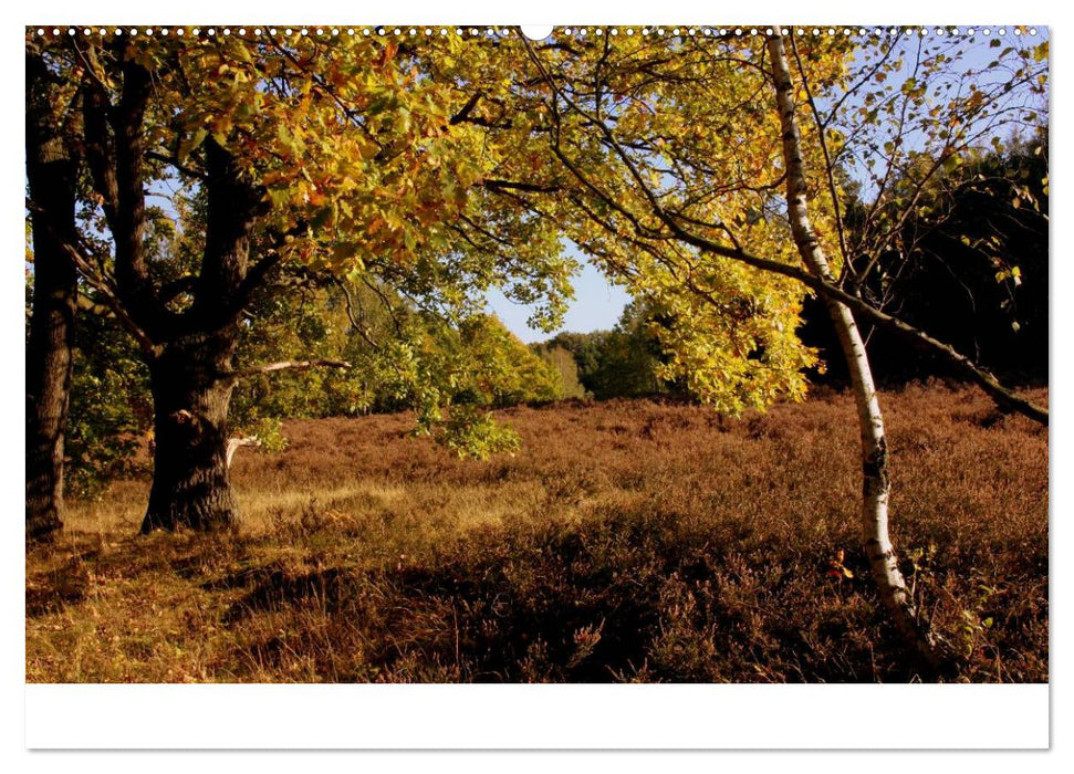 Indian Summer - Die Farben des Herbstes (CALVENDO Wandkalender 2025)