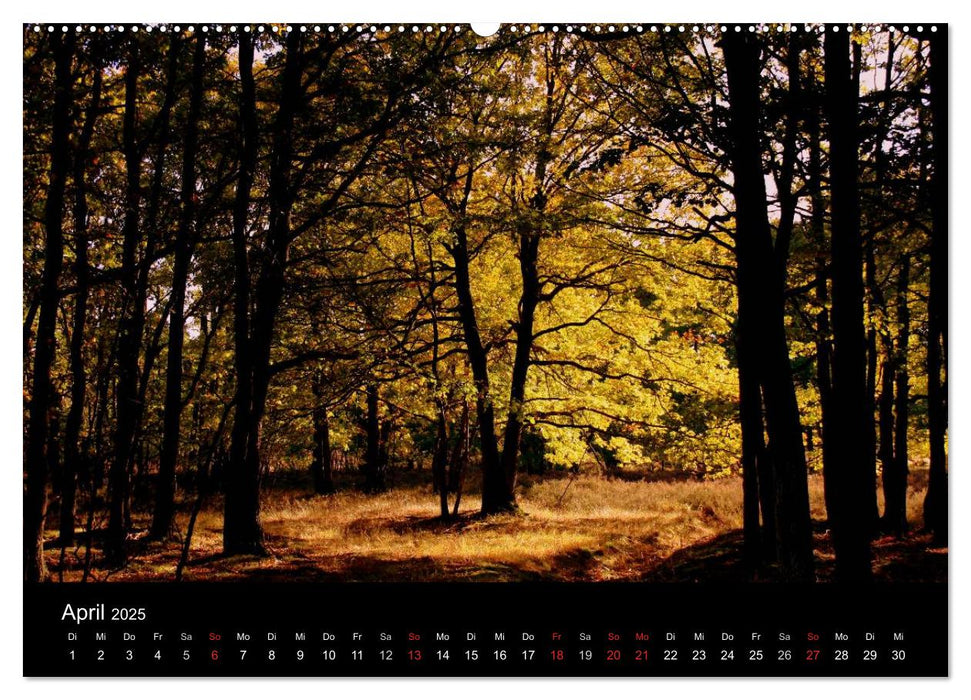 Indian Summer - Die Farben des Herbstes (CALVENDO Wandkalender 2025)
