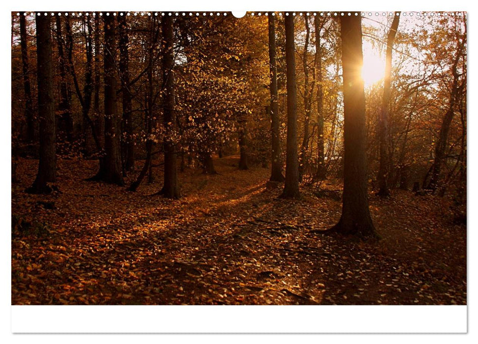 Indian Summer - Die Farben des Herbstes (CALVENDO Wandkalender 2025)