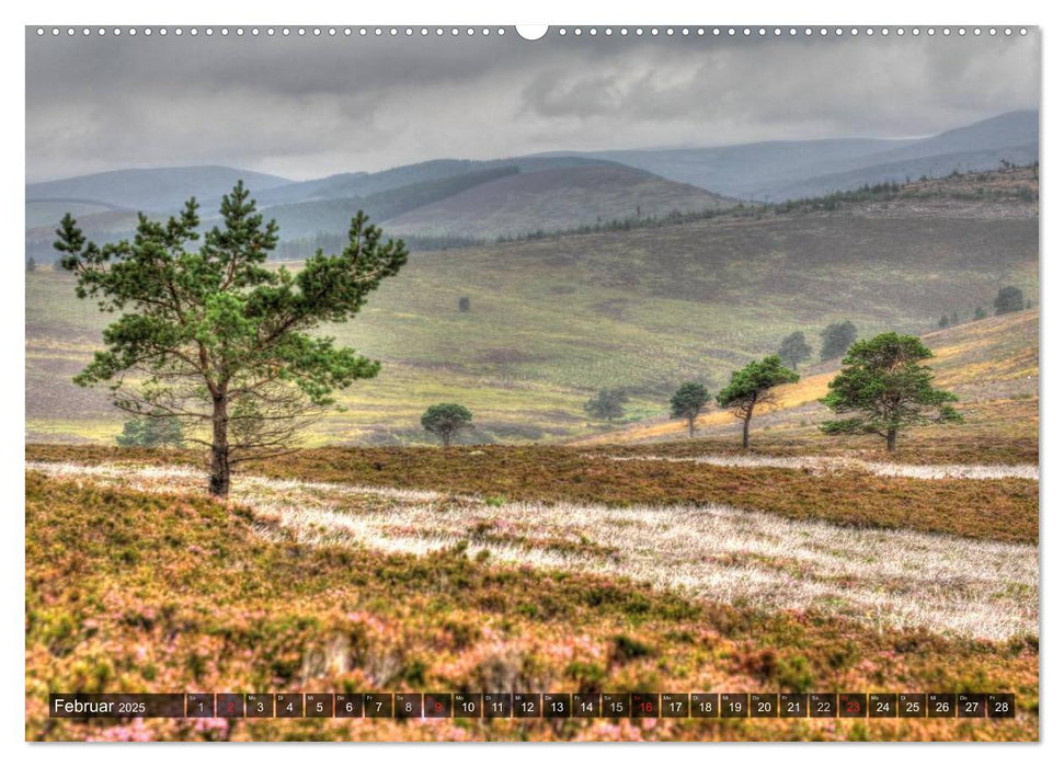 Schottland (CALVENDO Wandkalender 2025)