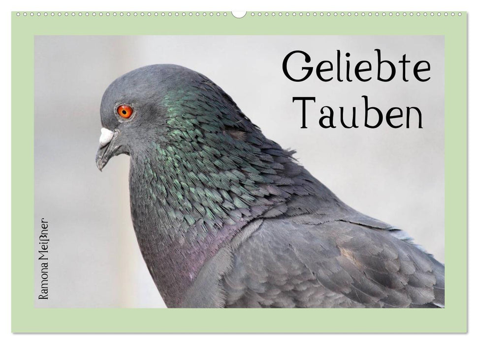 Geliebte Tauben (CALVENDO Wandkalender 2025)