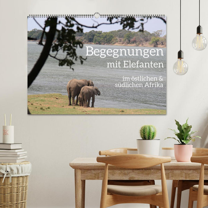 begegnungen - elefanten im südlichen afrika (CALVENDO Wandkalender 2025)