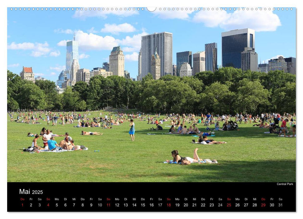 New York City (CALVENDO Premium Wandkalender 2025)