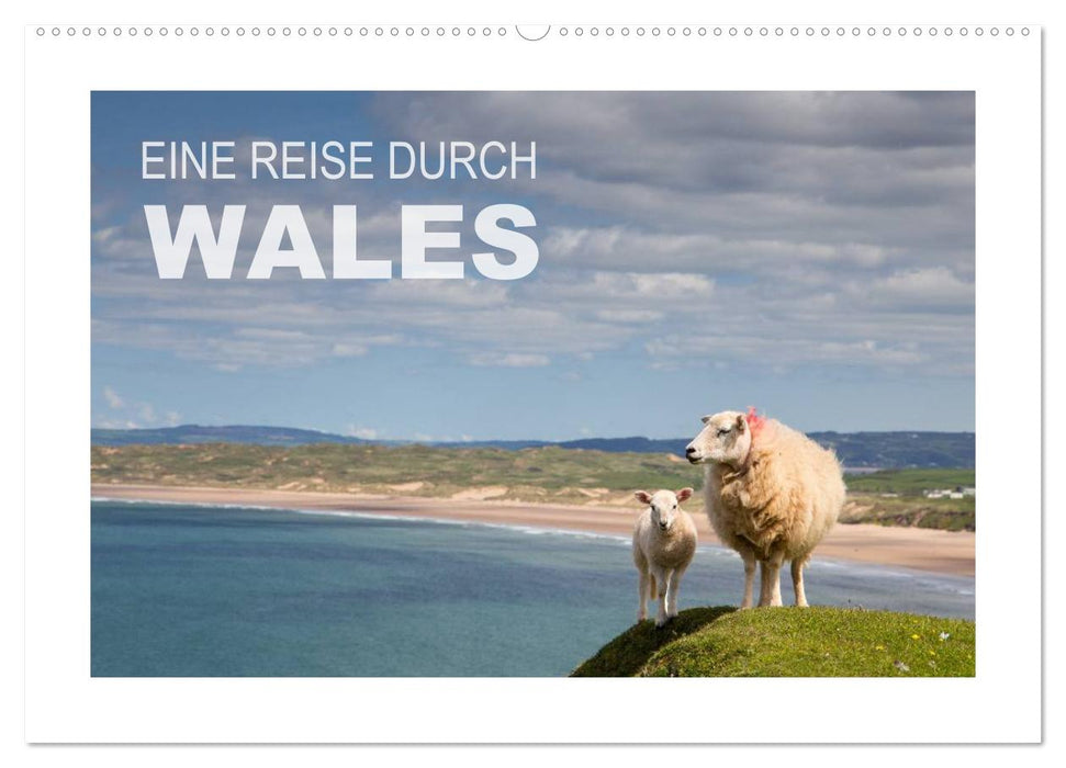 Wales / AT-Version (CALVENDO Wandkalender 2025)