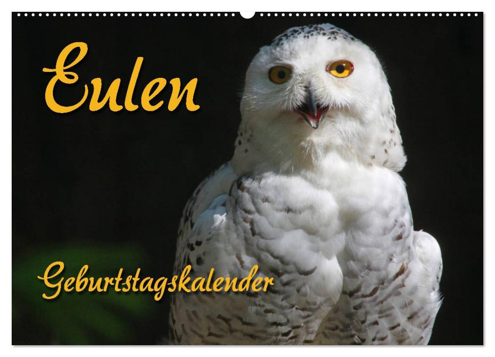 Eulen (CALVENDO Wandkalender 2025)