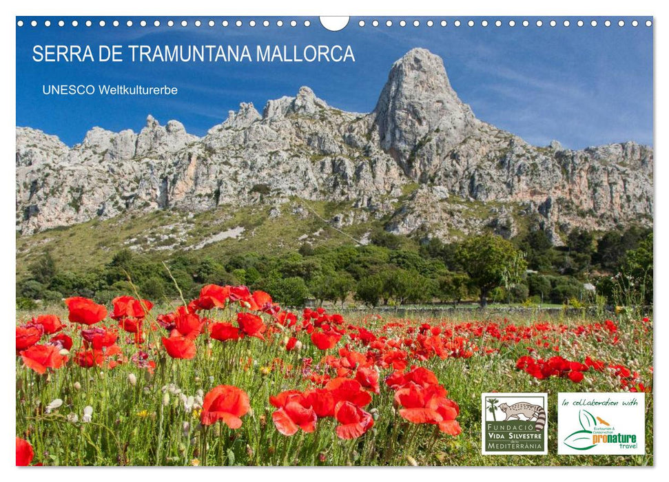 Serra de Tramuntana Mallorca (CALVENDO Wandkalender 2025)