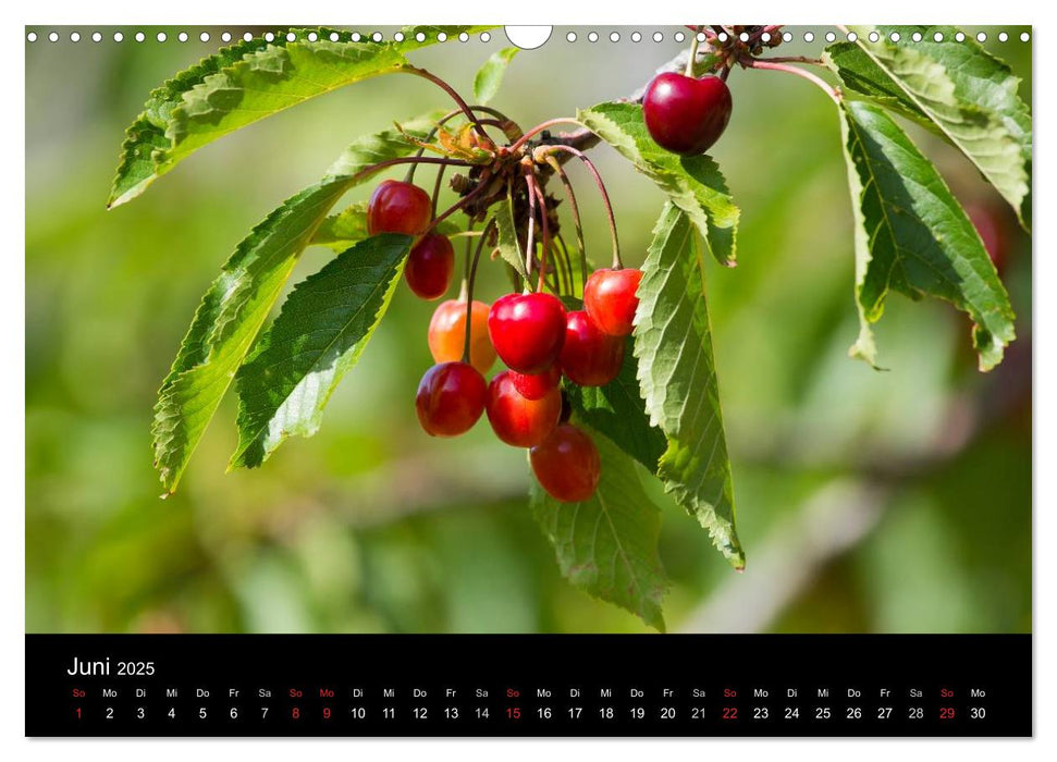 Serra de Tramuntana Mallorca (CALVENDO Wandkalender 2025)