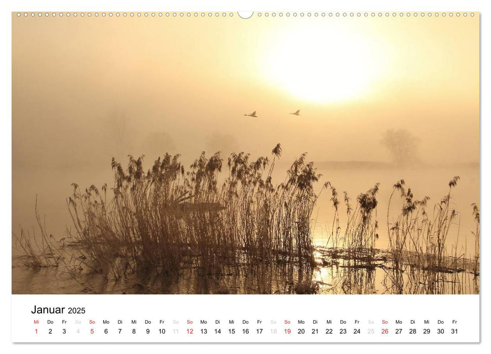 Morgenstimmungen 2025 (CALVENDO Premium Wandkalender 2025)