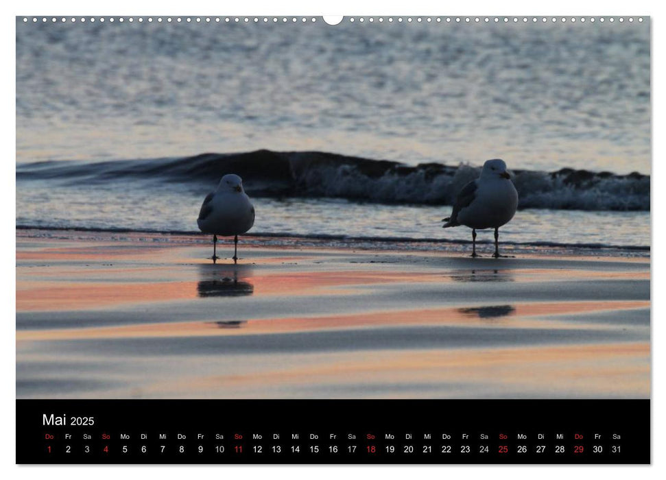 Sylt 2025 (CALVENDO Premium Wandkalender 2025)