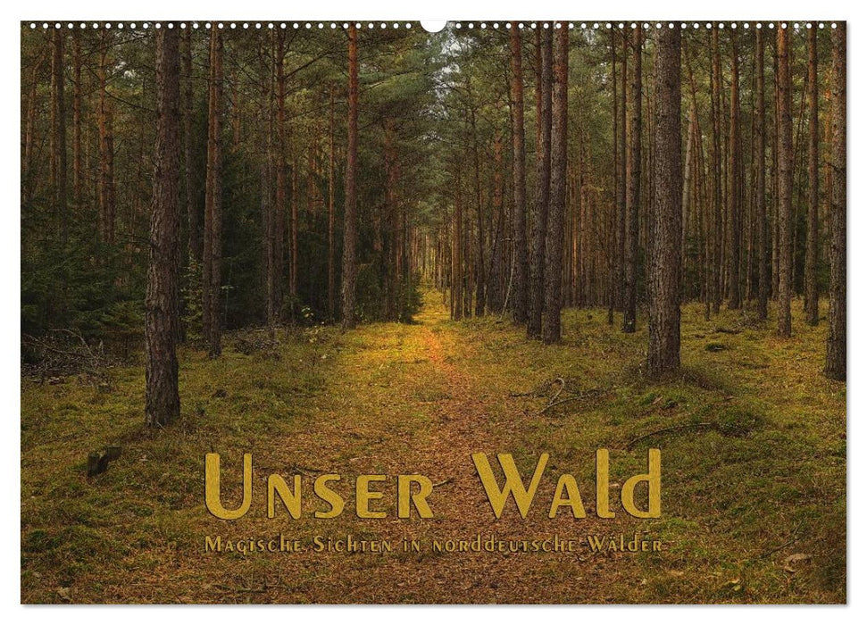 Unser Wald - Magische Sichten in norddeutsche Wälder (CALVENDO Wandkalender 2025)