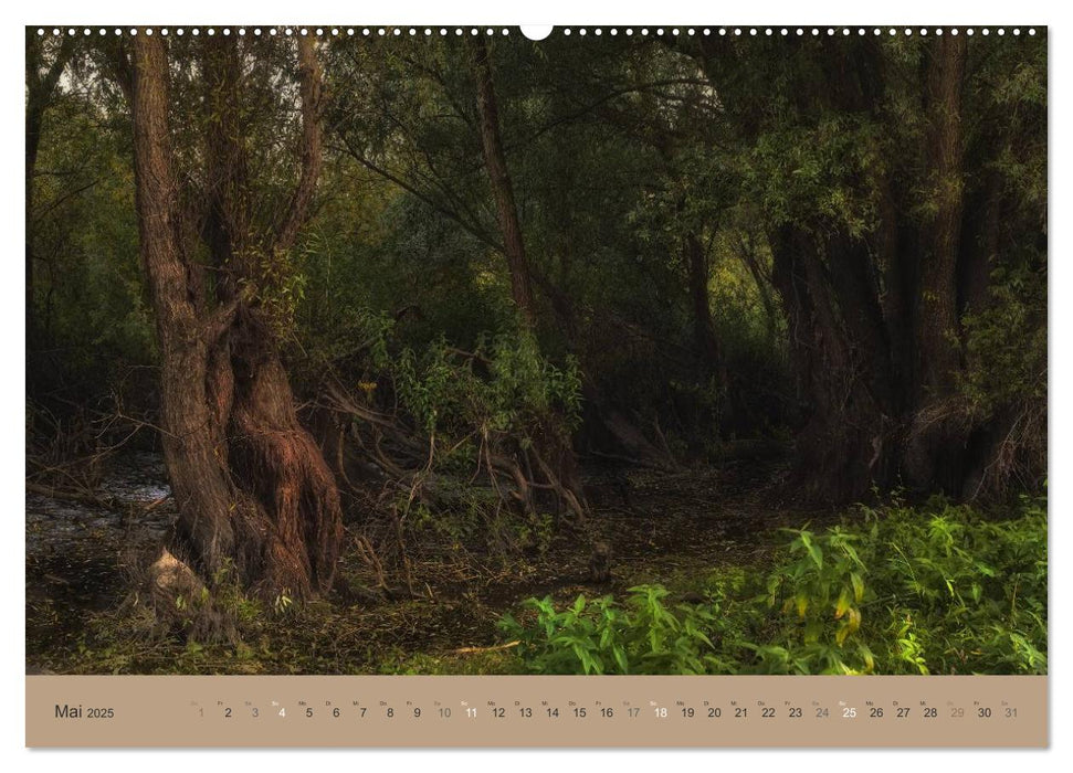 Unser Wald - Magische Sichten in norddeutsche Wälder (CALVENDO Wandkalender 2025)