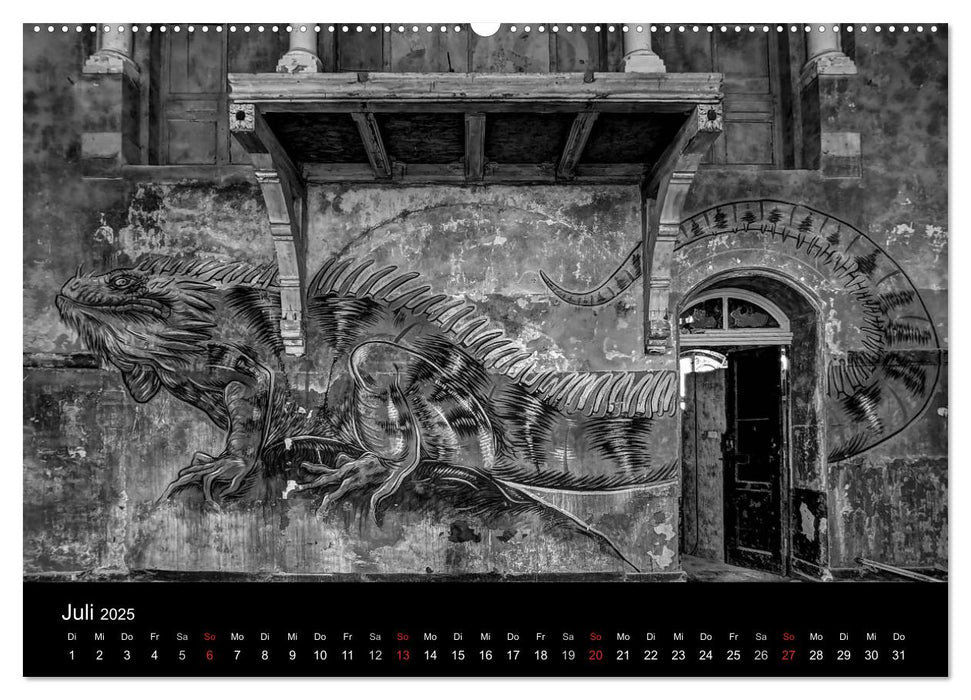 lost beauty (CALVENDO Premium Wandkalender 2025)