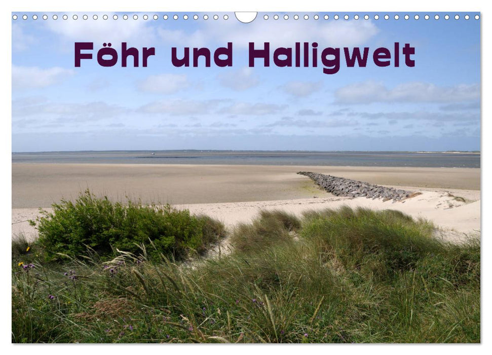 Föhr und Halligwelt 2025 (CALVENDO Wandkalender 2025)