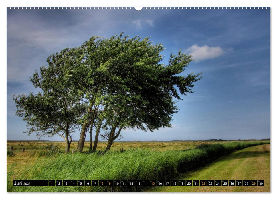 Borkum (CALVENDO Premium Wandkalender 2025)