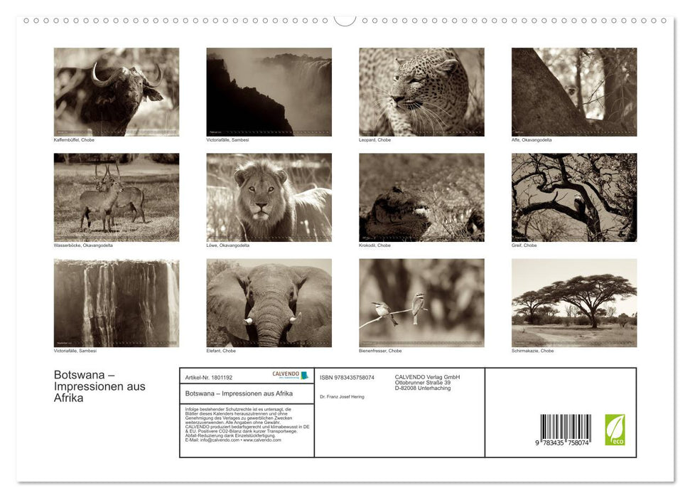 Botswana – Impressionen aus Afrika (CALVENDO Premium Wandkalender 2025)