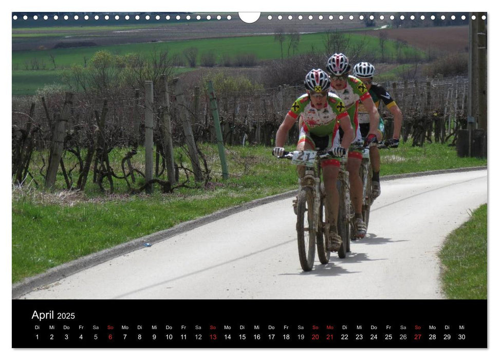 Weinidylle im Südburgenland (CALVENDO Wandkalender 2025)