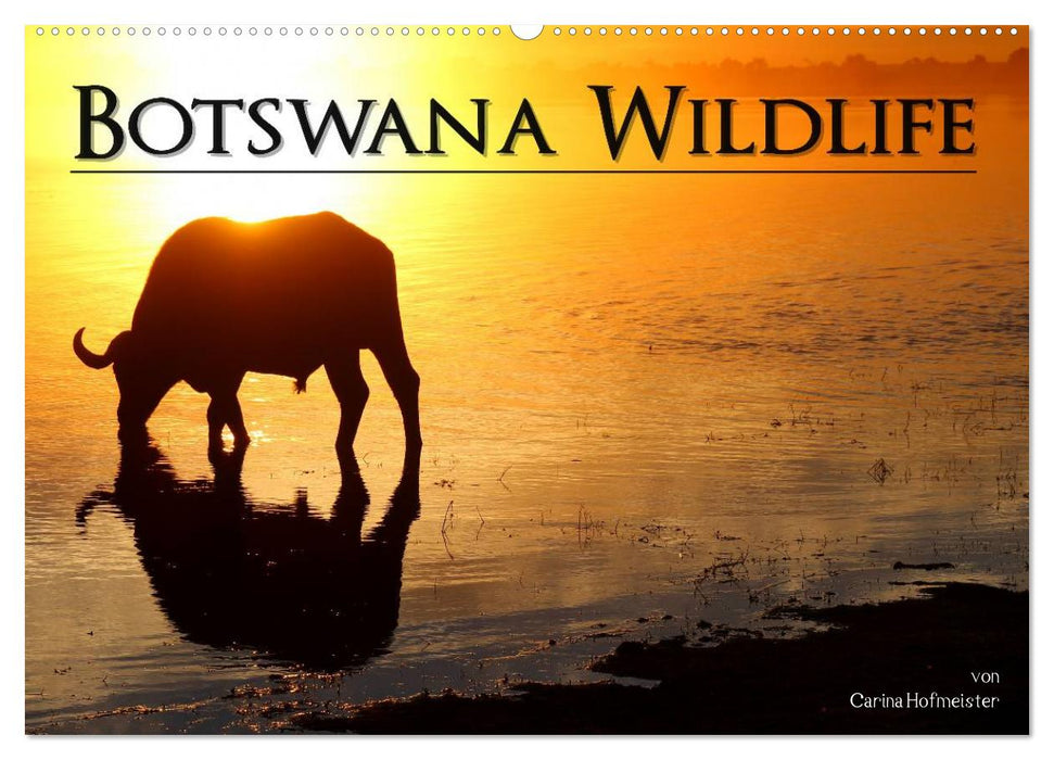 Botswana Wildlife (CALVENDO Wandkalender 2025)