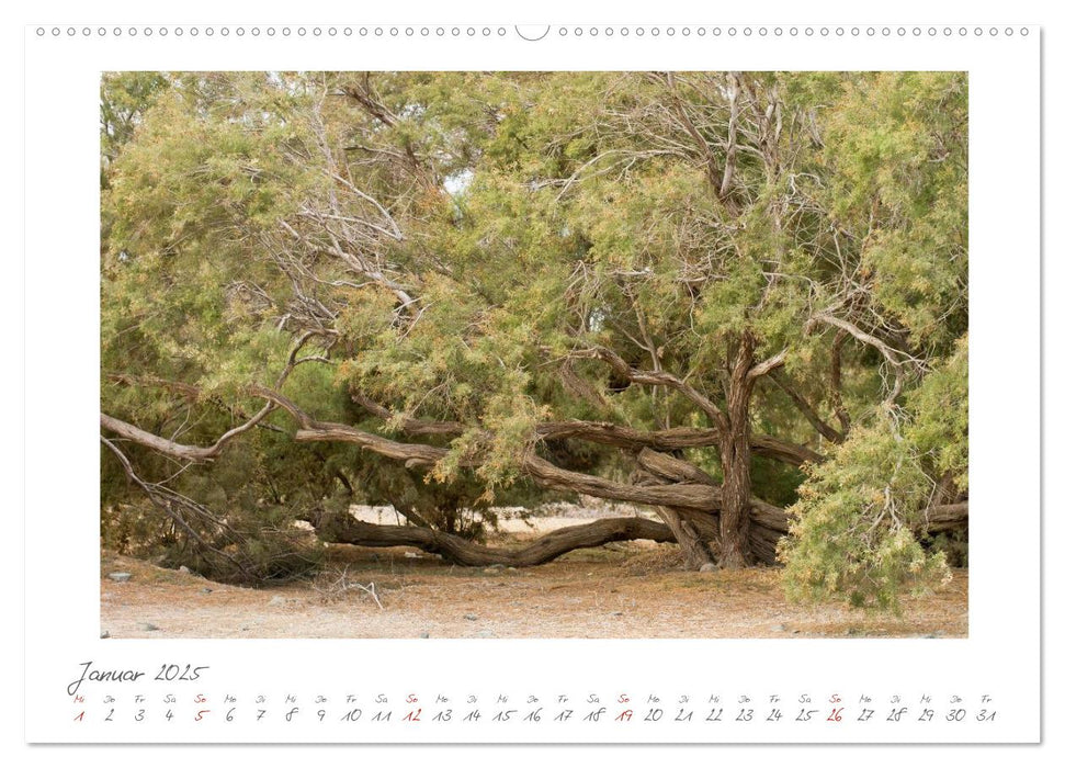 Gran Canaria - Puerto Mogan/Maspalomas (CALVENDO Premium Wandkalender 2025)