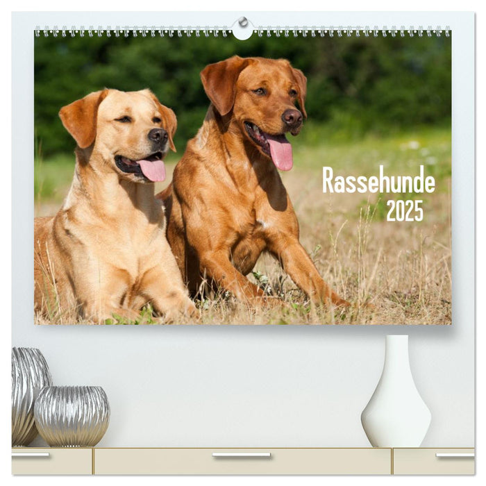 Rassehunde (CALVENDO Premium Wandkalender 2025)