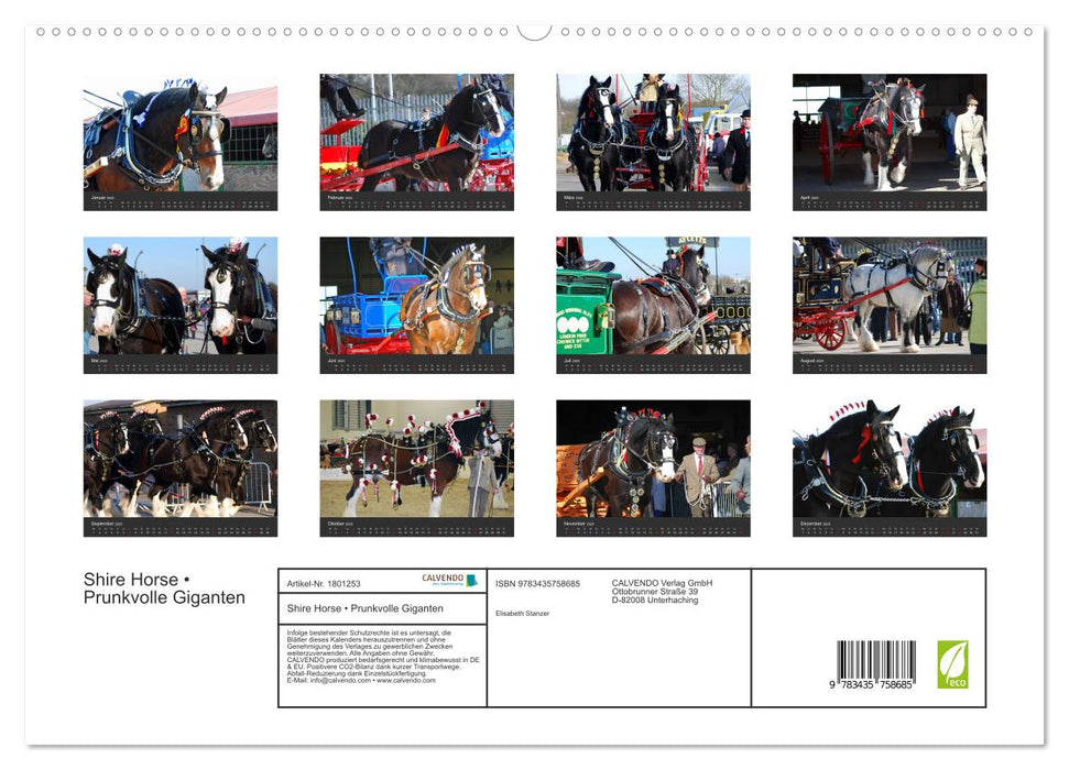 Shire Horse • Prunkvolle Giganten (CALVENDO Premium Wandkalender 2025)