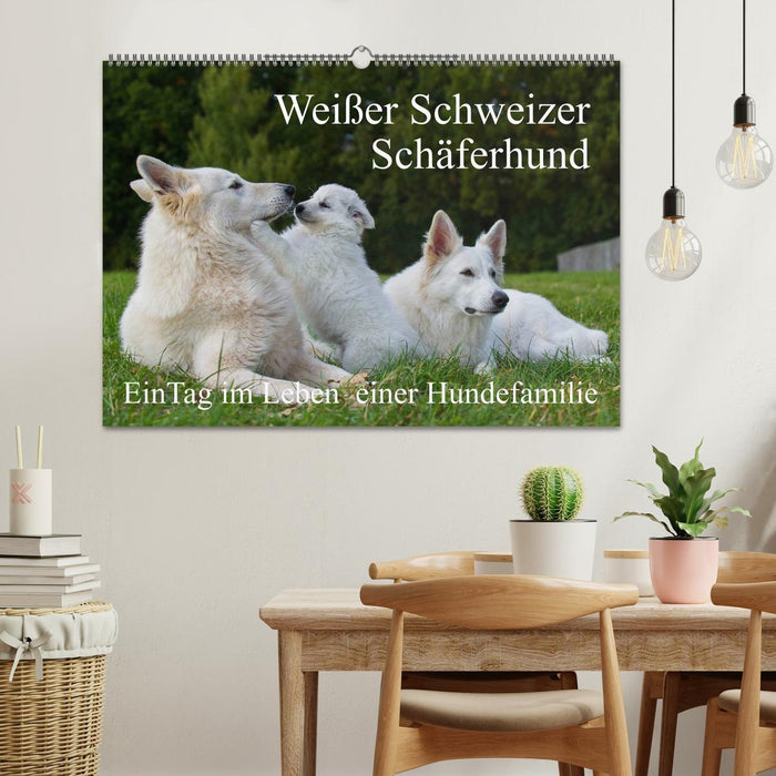 Weißer Schweizer Schäferhund - Ein Tag im Leben einer Hundefamilie (CALVENDO Wandkalender 2025)