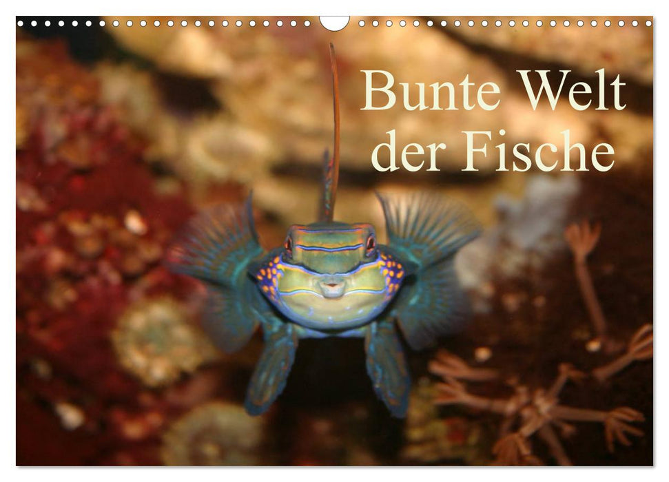 Bunte Welt der Fische (CALVENDO Wandkalender 2025)