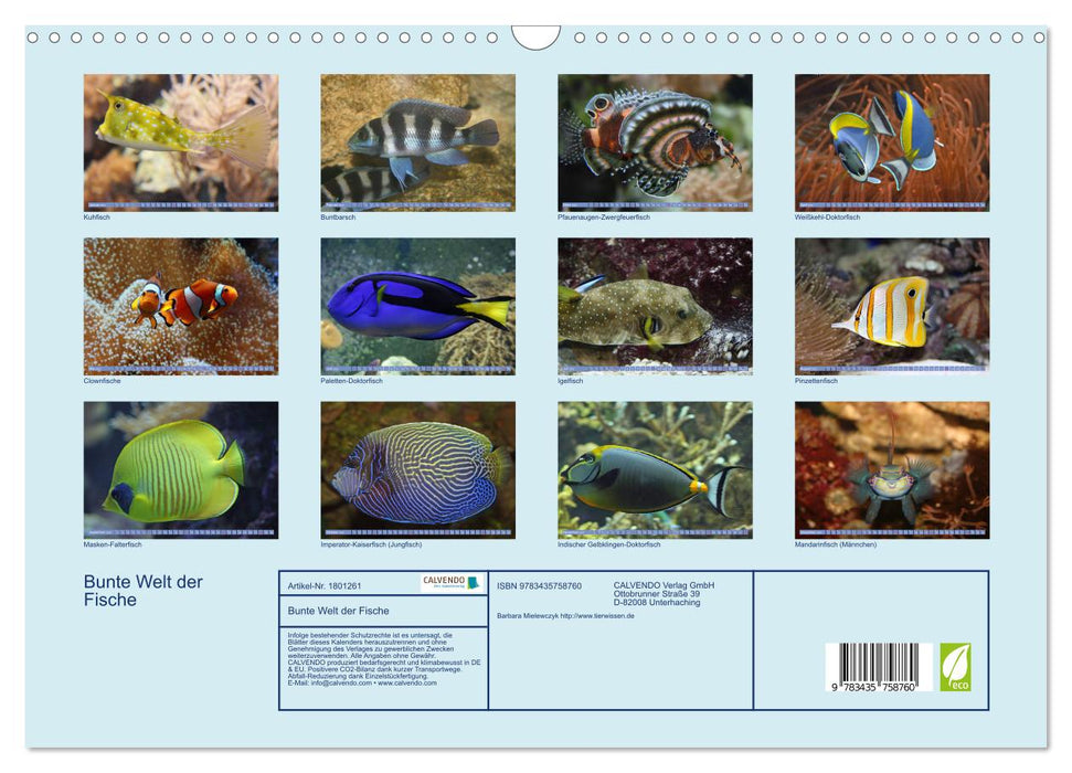 Bunte Welt der Fische (CALVENDO Wandkalender 2025)