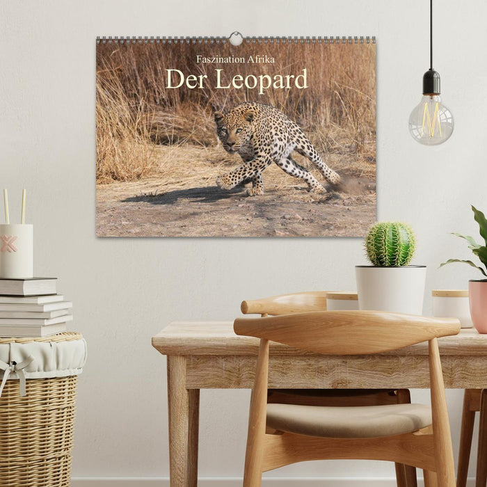 Faszination Afrika: Der Leopard (CALVENDO Wandkalender 2025)