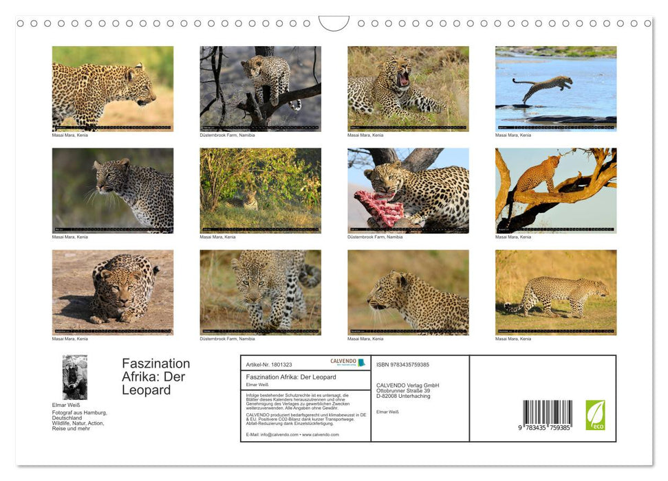 Faszination Afrika: Der Leopard (CALVENDO Wandkalender 2025)