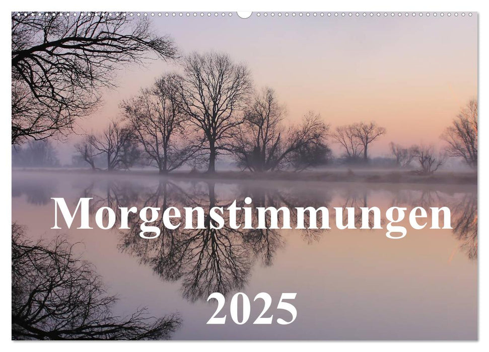 Morgenstimmungen 2025 (CALVENDO Wandkalender 2025)