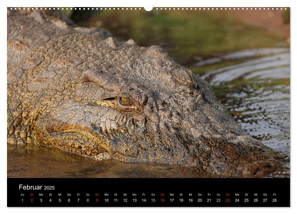 Naturerlebnis Botswana (CALVENDO Premium Wandkalender 2025)