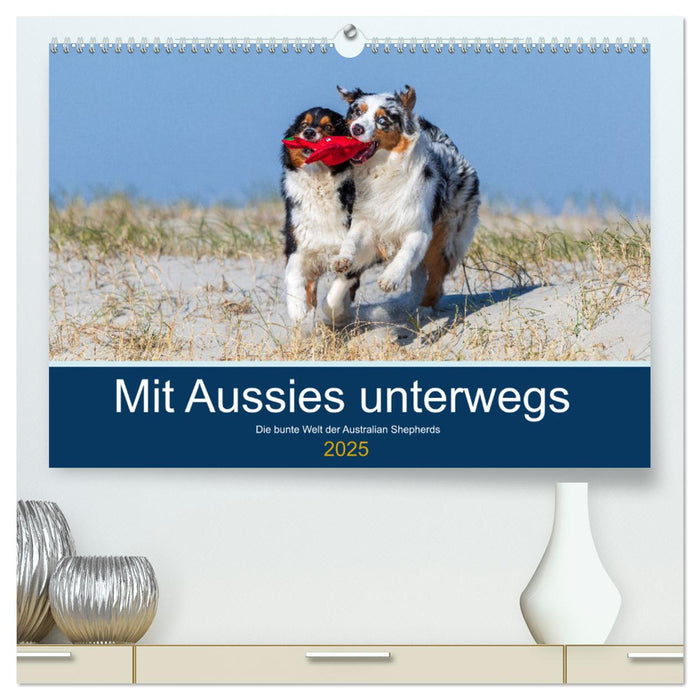 Mit Aussies unterwegs - Die bunte Welt der Australian Shepherds (CALVENDO Premium Wandkalender 2025)