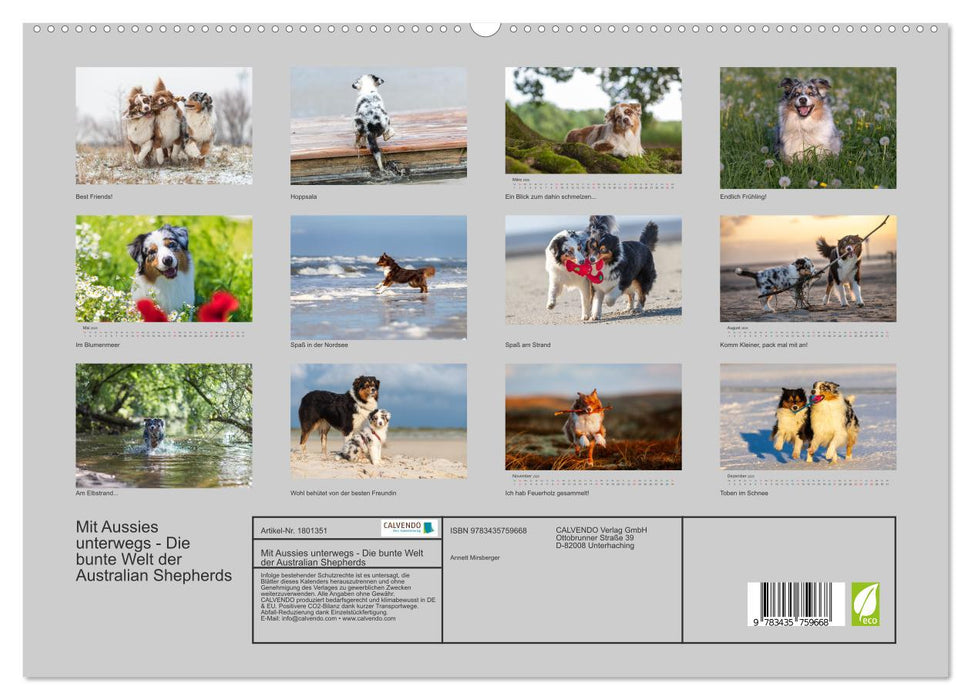 Mit Aussies unterwegs - Die bunte Welt der Australian Shepherds (CALVENDO Premium Wandkalender 2025)