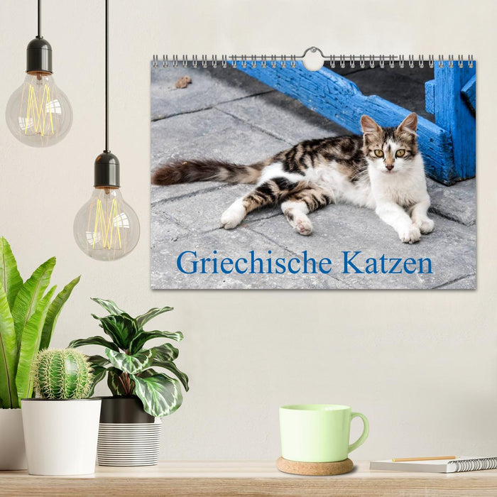 Griechische Katzen (CALVENDO Wandkalender 2025)